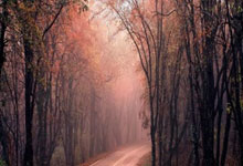 天涯社区，你认识吗？这是咱们这些老网民心中的一方理塘啊！说起和它类似的社区，老铁们可多了！现在好些网站都有这种天涯味儿～