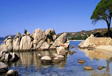 天涯社区，你认识吗？这是咱们这些老网民心中的一方理塘啊！说起和它类似的社区，老铁们可多了！现在好些网站都有这种天涯味儿～